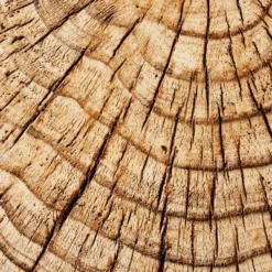 Indoor/Outdoor Faux Concrete Stump Accent Table Brown - Threshold™ Designed With Studio McGee -Home Living GUEST 03deabfd 2b62 4725 94b4 09a321ea8678