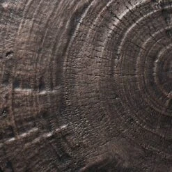 Grantsville Drum Accent Table Black - Threshold™ Designed With Studio McGee -Home Living GUEST 2a48e59f 9a1e 4d95 a641 6710dbd36ebe