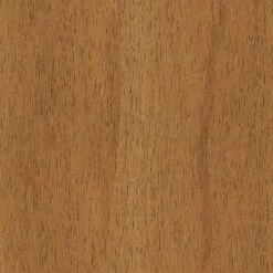 2pk Timo Dining Chair Cream - Threshold™ -Home Living GUEST 5d779e0e 0b3d 4661 9e88 19bec517fd72